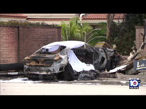 Hollywood crash caught on camera ends in deadly fire