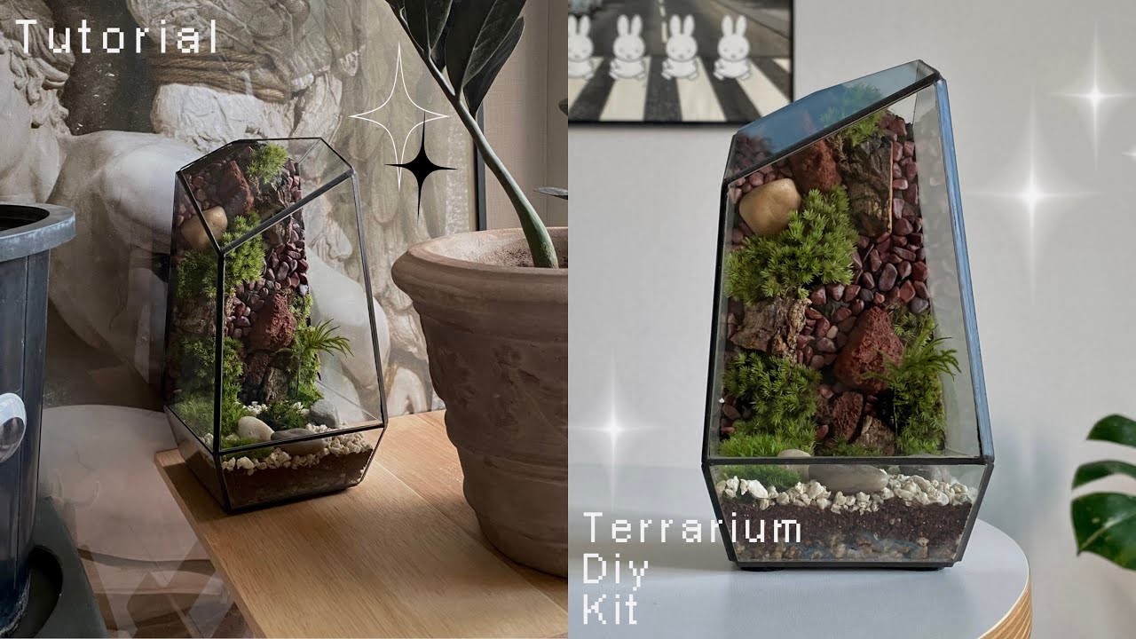 🌿나만의 작은 생태계🌿 쉽고 예쁜 이끼 테라리움 만들기 ✨