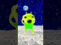 Dancing dog