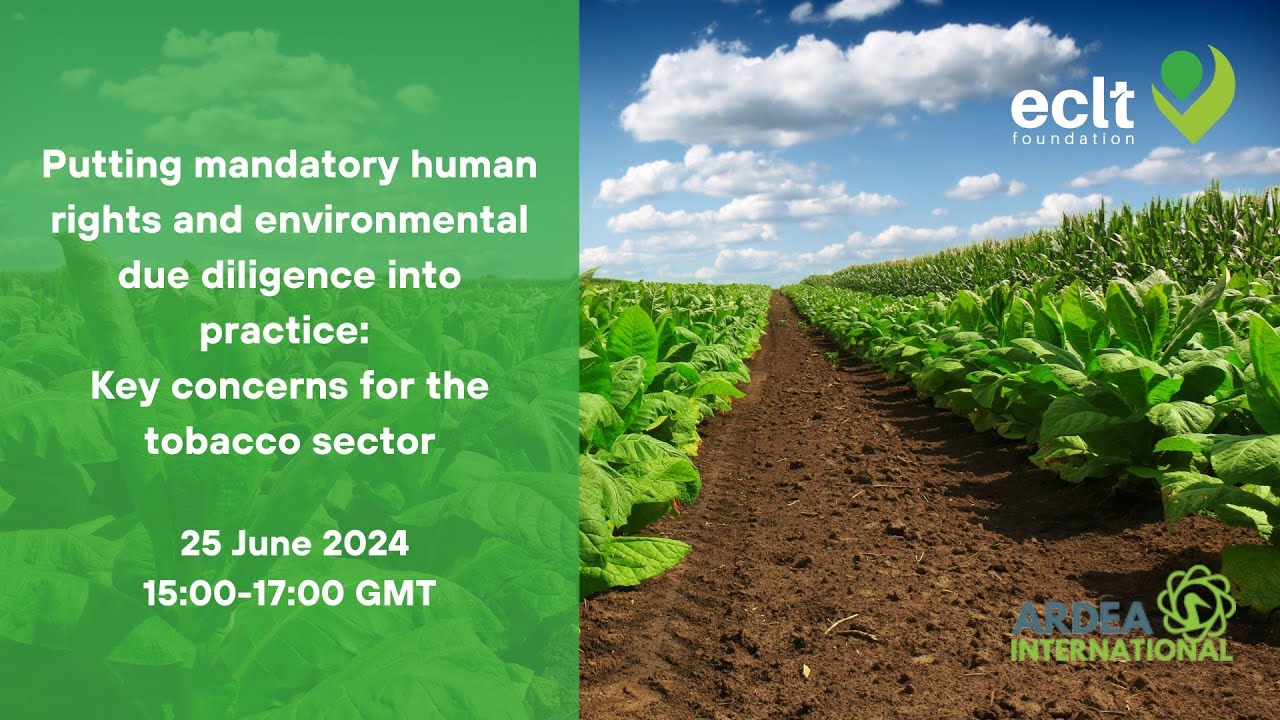Mandory Rights Putting mandatory human rights and environmental due diligence into ...