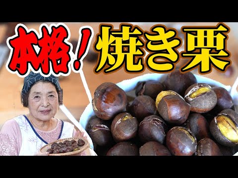 【本格】焼き栗の作り方｜栗の虫だし、虫止め方法【ポン菓子機械使用】