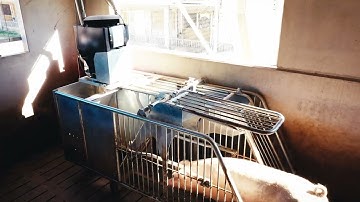 Autosow from Agrisys DK