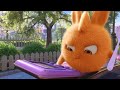 Sunny Bunnies | Pressing the Button | SUNNY BUNNIES COMPILATION | Cartoons for Children