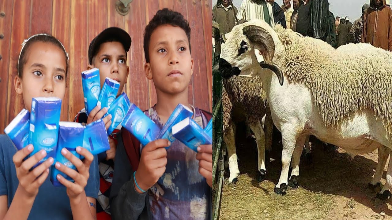 أطفال الشوارع و فرحة العيد في آخر ...😢💔(يستحق المشاهدة)