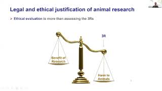 The Role of the 3Rs and the 3Vs in the Ethical Evaluation of Animal Research