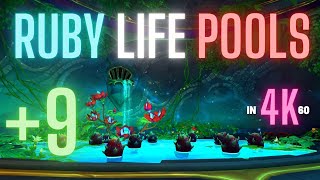 +9 Ruby Life Pools | FORTIFIED SANGUINE VOLCANIC | Protection Paladin | Mythic Plus Dragonflight