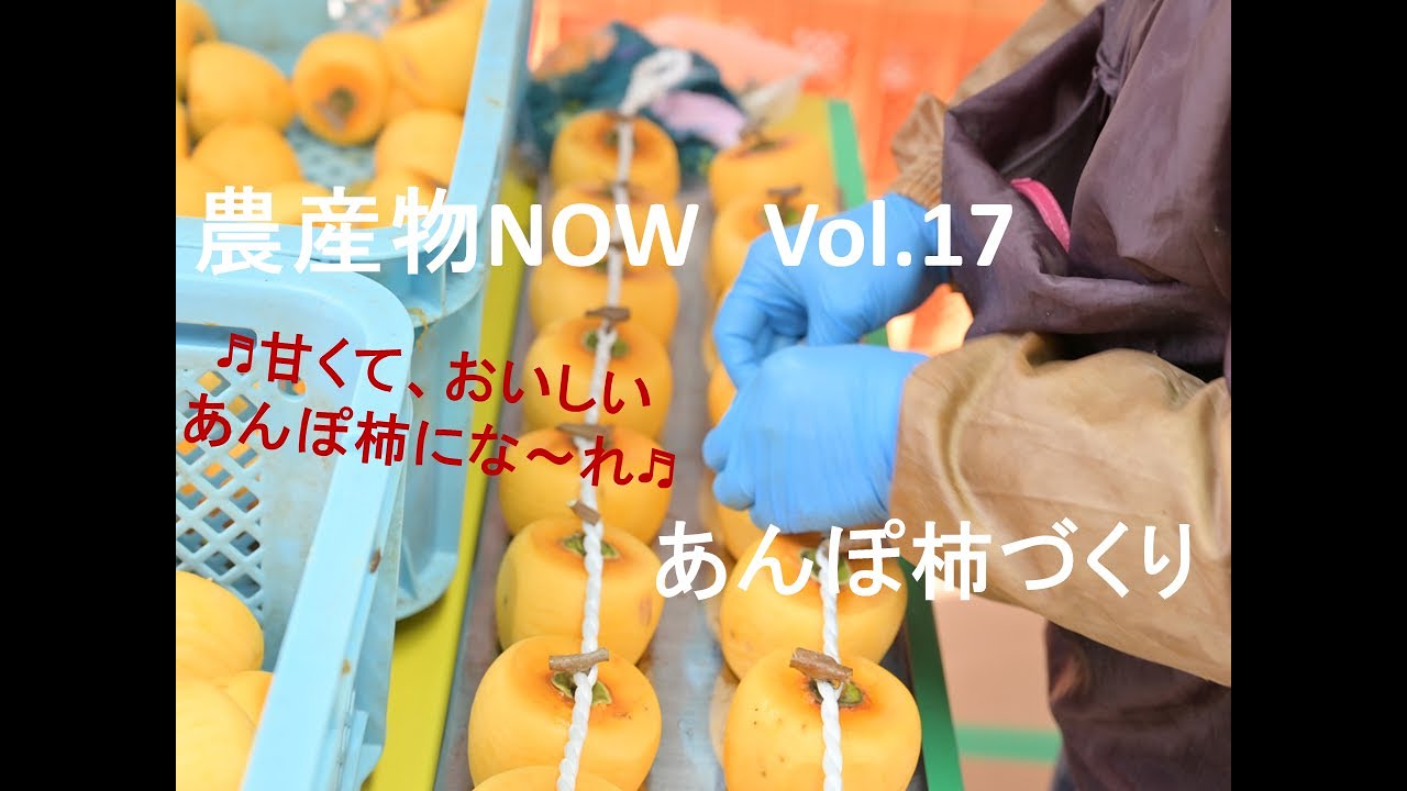 農産物NOW Vol.17　あんぽ柿づくり