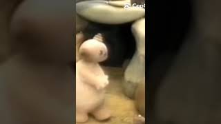 Maca Paca Tv Show In The Night Garden