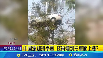 把車開上樹?  揭中國駕訓班搏眼球惡搞 真相曝光! 駕訓班自導自演賣慘 官方要查｜三立新聞網 SETN.com