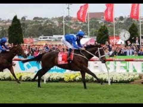 【豪・コックスプレート】ウィンクス２９連勝！史上初の同一Ｇ１・４連覇達成