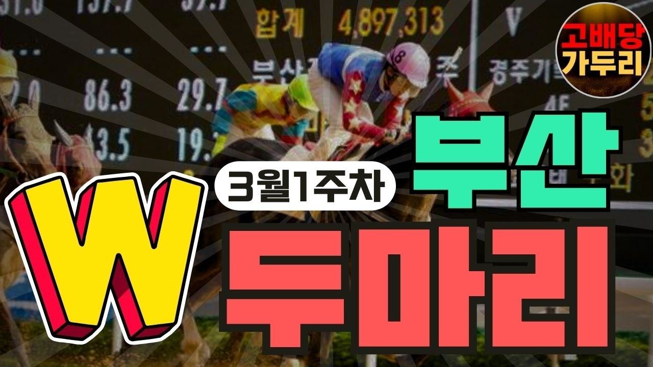 3월 1주차 부산경마 복병마 두마리!!!