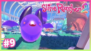 MELEZ SİNCAP YARASA  , TANK UPGRADE    Slime Rancher 2