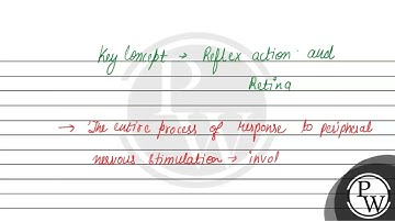 STATEMENT BASED Directions: In the questions two statements are given as statement-I and stateme...