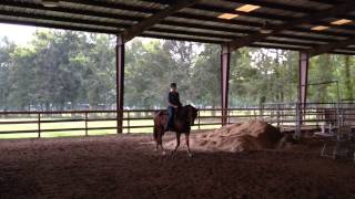 Download Lagu DA Gypcy Valentino MP3