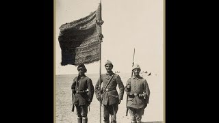 Tasalanma Yi̇ği̇di̇m