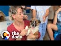Abandoned Puppy Gets Rescued And Goes to School With Kids Every Day | The Dodo Little But Fierce