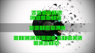 Martin Garrix - Animals (Riggi & Piros Remix)