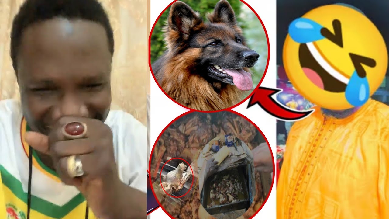 Appel thioune boutique Ak Brome yapou kathie bi Mo nexx 😂😂😂😂