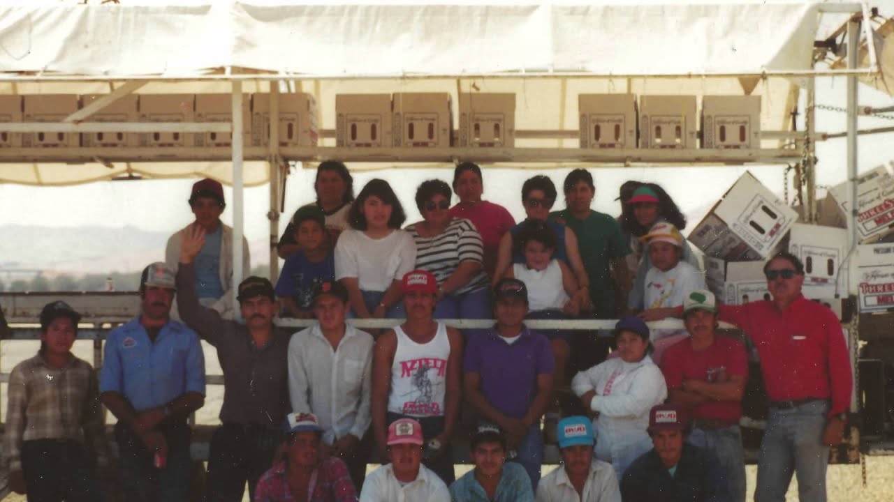 Losing the American Dream: One Farmer's Fight for Survival | The Daily Signal