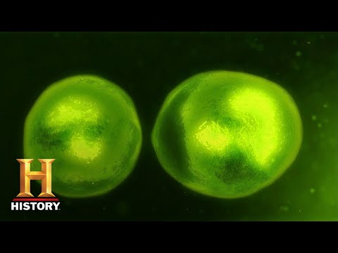 Ancient Aliens: Extraterrestrial