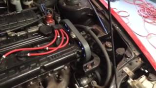 IMG 0278 1