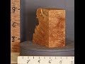 D1699 5A Block Curly Burl Maple With Live Edge Lumber