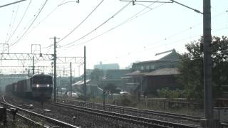 JR貨物　8053レ　EF210 7号機　2013年11月