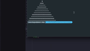 Christmas Lights for Python
