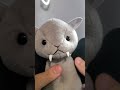 こうもりのこうくん #happy #kawaii #ぬいぐるみ #cute