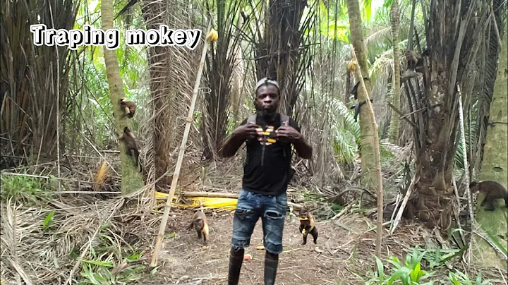 Traping Monkey Watch This (Beze Hunting)