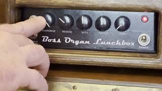 Famous Boss Organ Lunchbox - additional demo content Net Worth