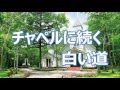 チャペルに続く白い道  西郷輝彦 COVER