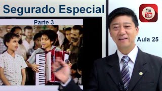 Social Security Law - Special Insured (part 3) - Types of RGPS Insured - class 25 - Prof. Tanaka