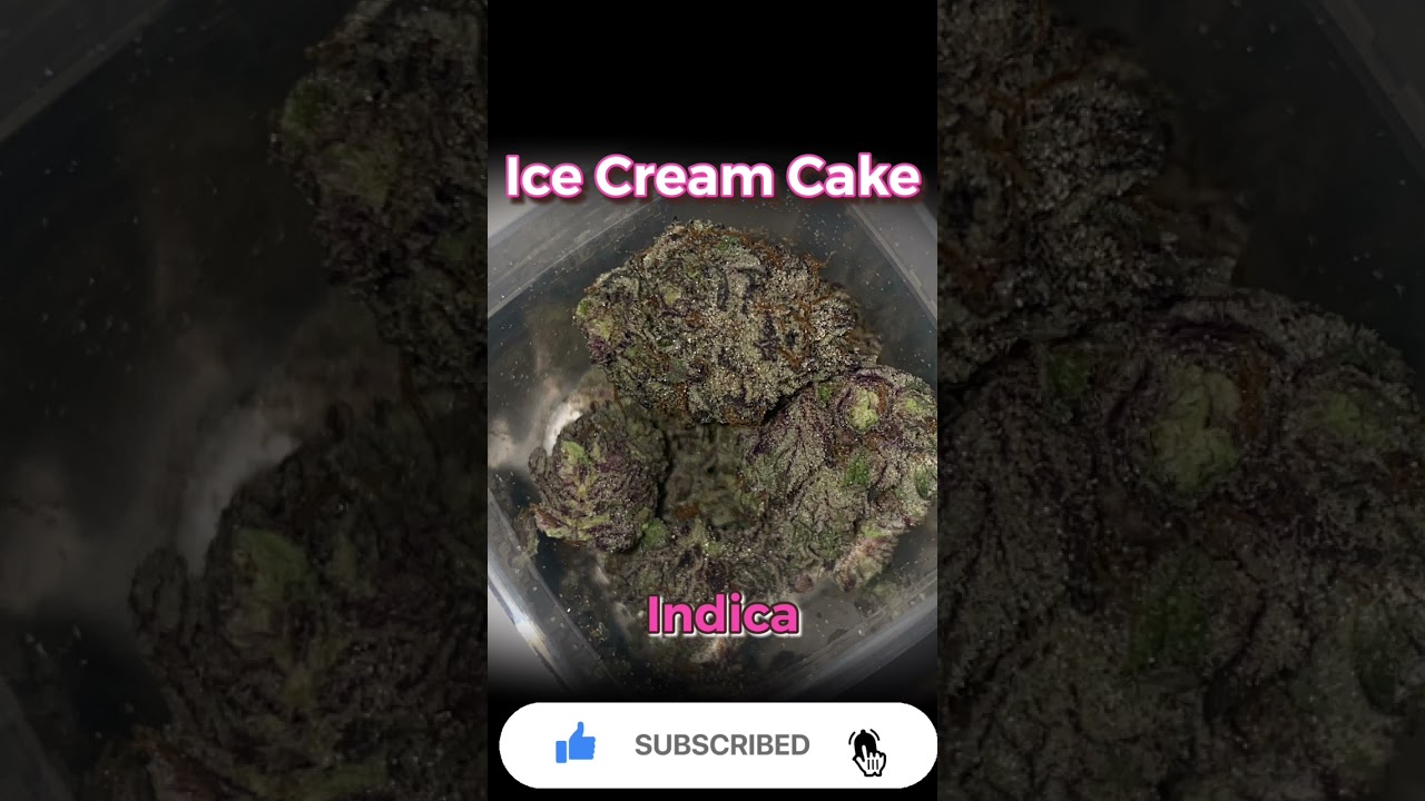 Aeriz “Ice Cream Cake🎂”