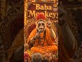 #funny #monkeybaba