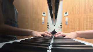 Ludovico einaudi: The summer portraits-Punta Bianca