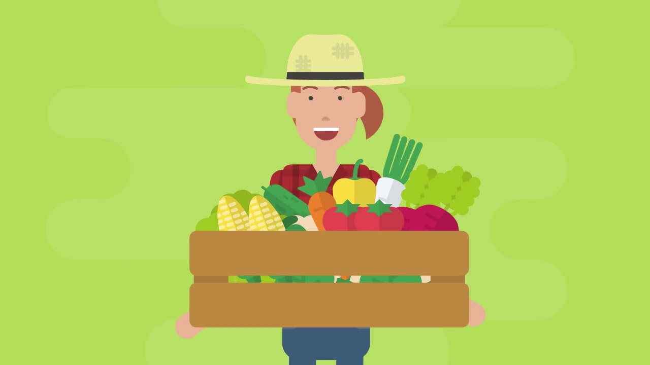 A Farmer 2D Animation Video