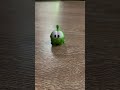 Кто сказал что ам нямы не танцуют?