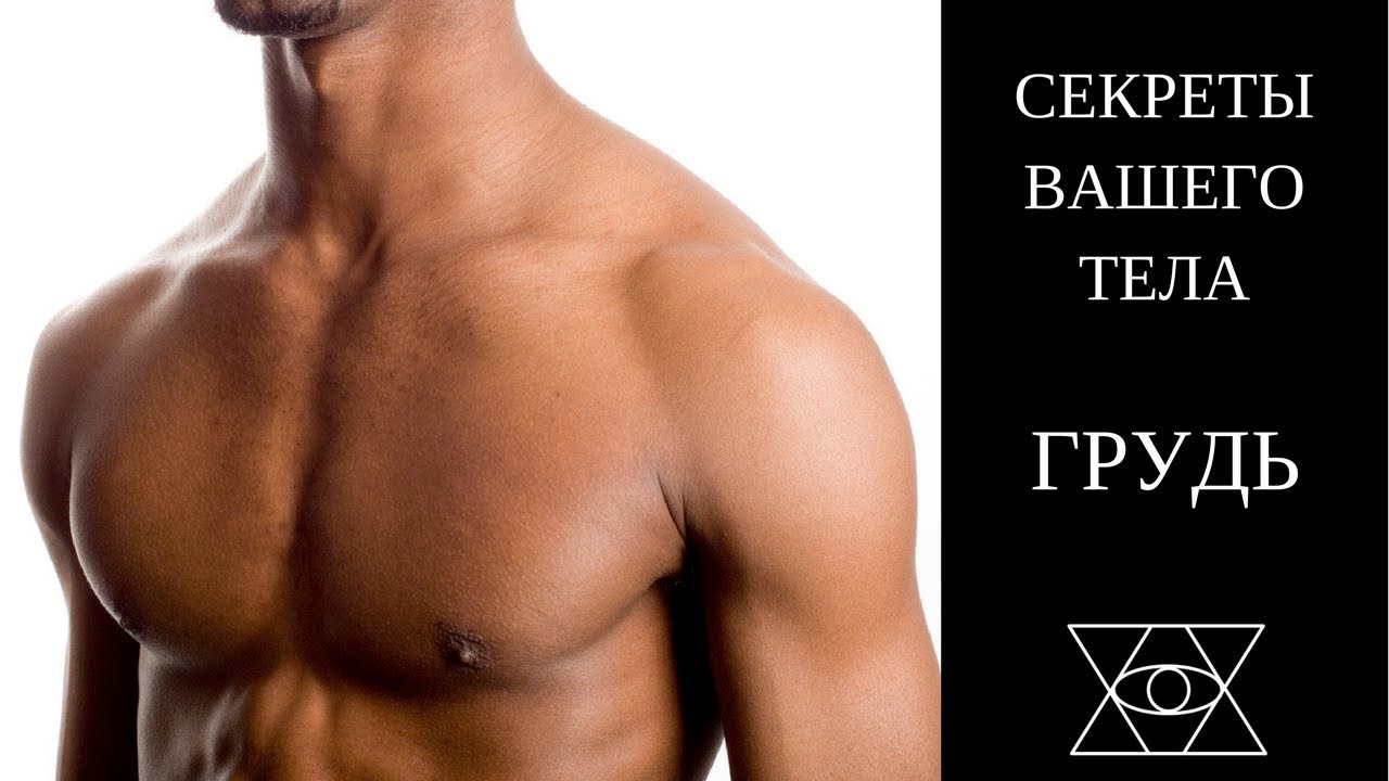 Части тела на груди. Секреты вашего тела. Сигнал тела грудь. Страхование частей тела бюста.