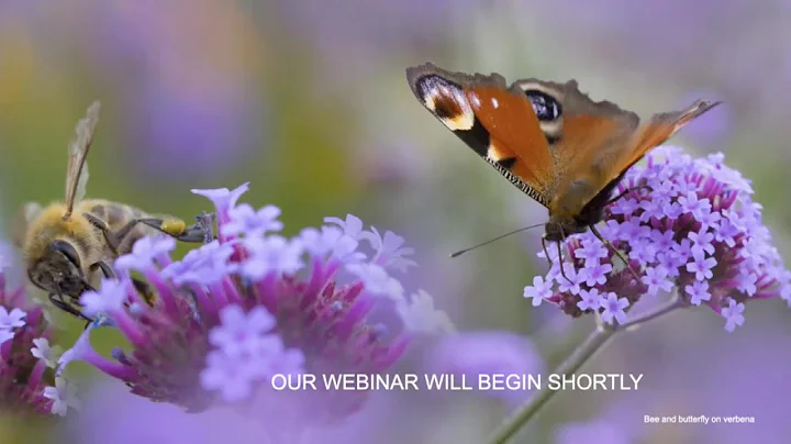 Webinar: How to Invite and Keep Beneficial Insects in Your Garden