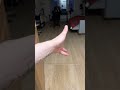 Показываю свои владения….