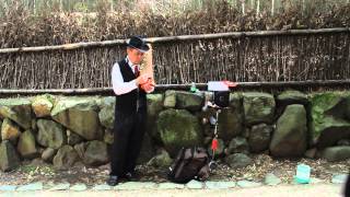 The Sound of Bamboo Forest