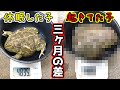 三か月間休眠させた子と眠らずに活動を続けた子では成長にどのくらい差が出たのか見比べてみた結果･･･!!【アフリカウシガエル】