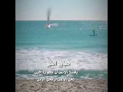 حالات واتس اب صباحيه وليد الشامي عليك اسال