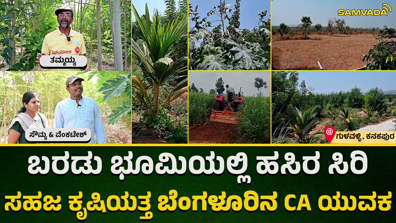 ಬರಡು ಭೂಮಿಯಲ್ಲಿ ಹಸಿರ ಸಿರಿ । ಸಹಜ ಕೃಷಿಯತ್ತ ಬೆಂಗಳೂರಿನ  CA ಯುವಕ | ತಮ್ಮಯ್ಯ | ಸೌಮ್ಯ & ವೆಂಕಟೇಶ್