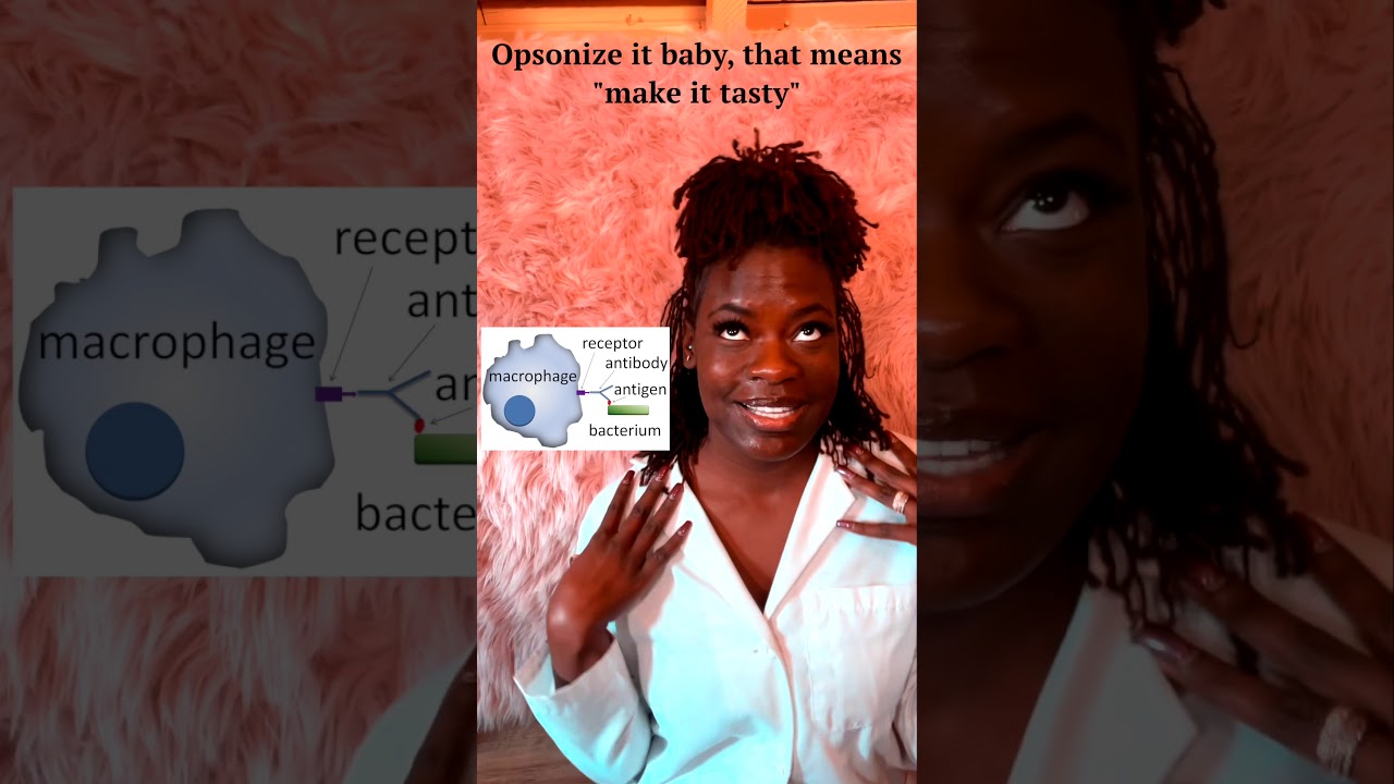 Antibodyody Antibody Song Raven the Science Maven YouTube