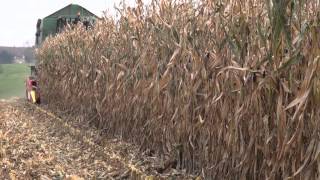 Drago Corn Heads