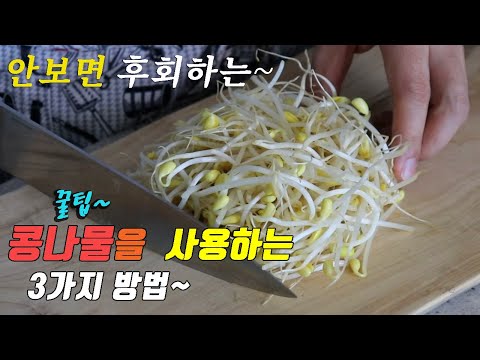 간단하고 맛있는 콩나물 요리 3가지~ 강쉪^^ korean food recipe, 3 kinds Korea bean sprouts  recipe.