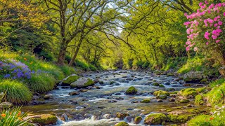 Музыка лечит сердце и кровеносные сосуды🌿 Успокаивающая музыка восстанавливает нервную систему, рас