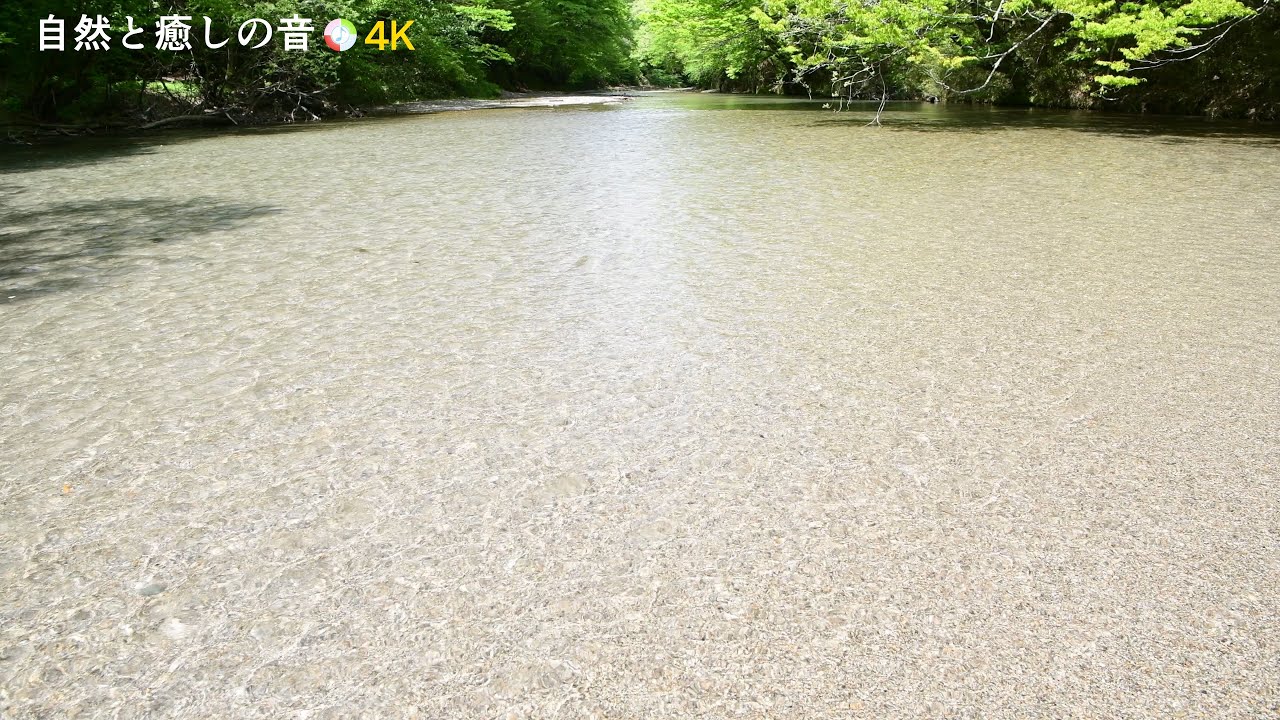 【自然の音】緑の季節と白い砂地を流れる川のせせらぎ、癒し、睡眠、リラックス、作業用BGM/River Sound/Nature Sounds ...